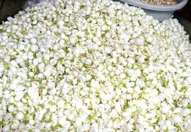 கோபி