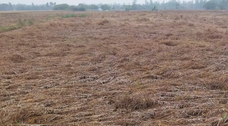 புதுக்கோட்டை