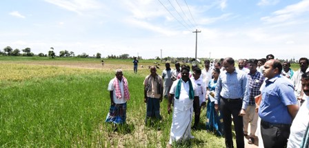 தஞ்சாவூர்